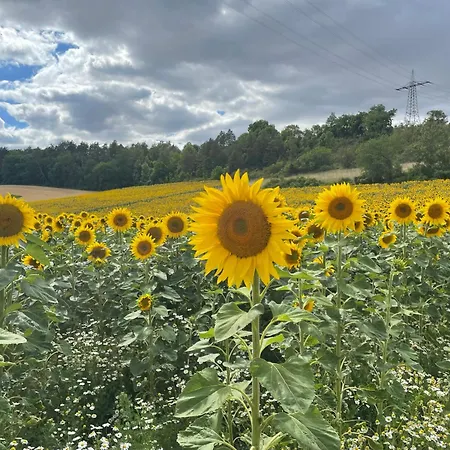 Appartamento Altes Rathaus