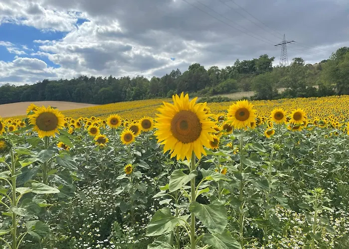 公寓 Altes Rathaus